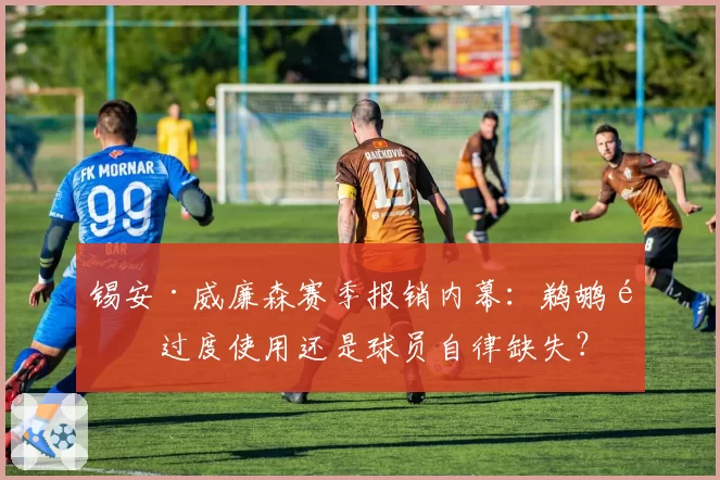 锡安·威廉森赛季报销内幕:鹈鹕队过度使用还是球员自律缺失?