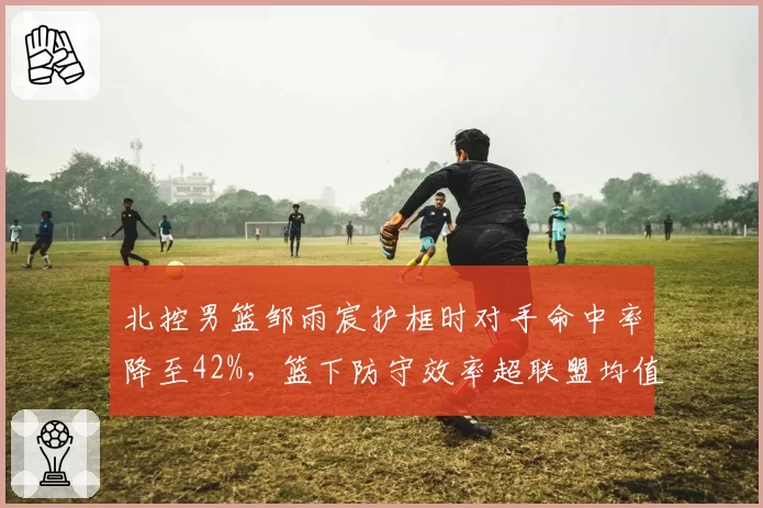 北控男篮邹雨宸护框时对手命中率降至42%，篮下防守效率超联盟均值15%